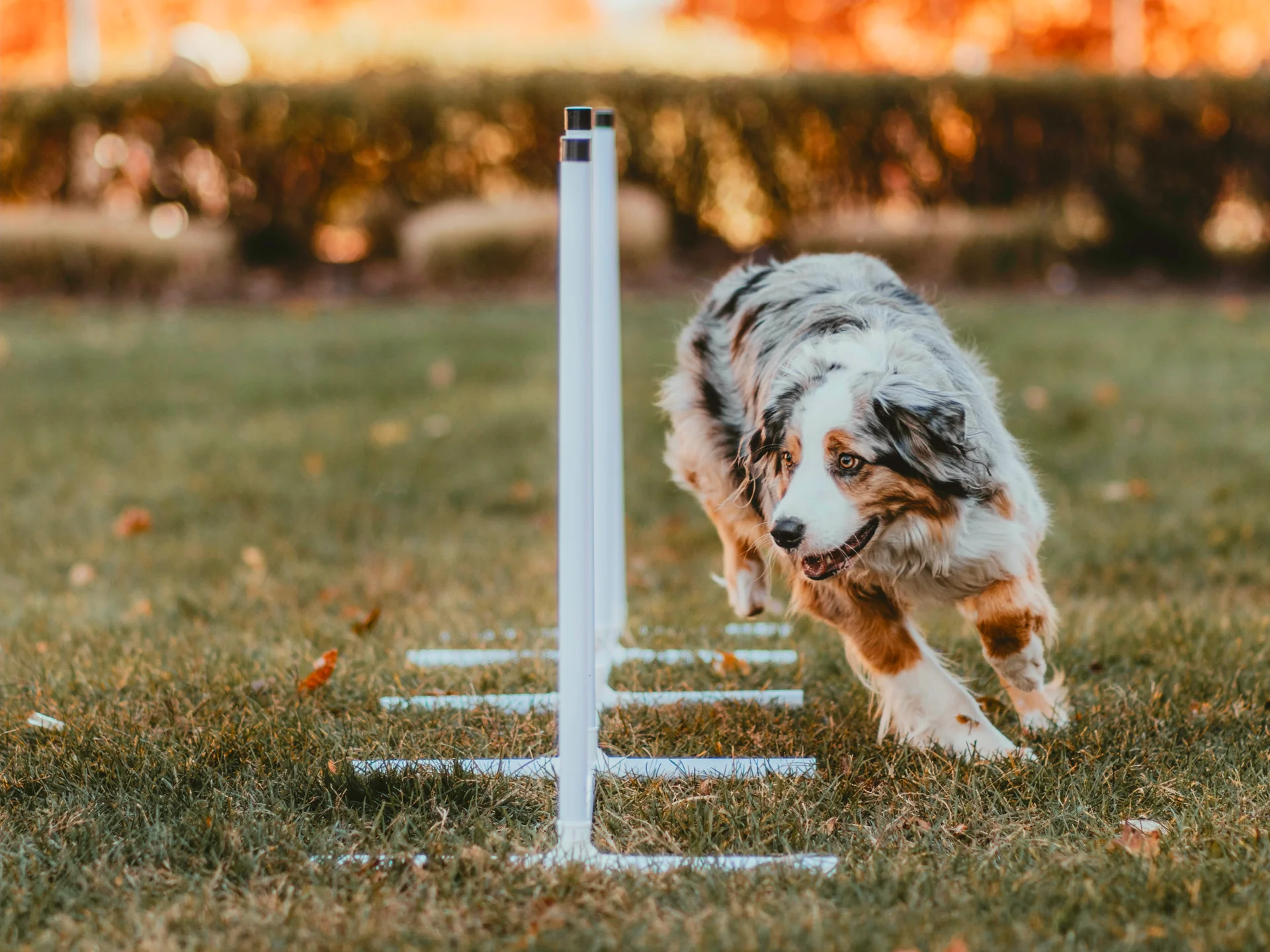 Welcome to Our Store